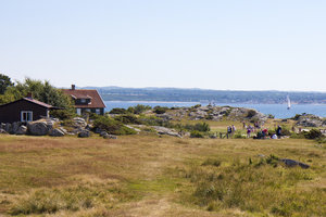 IMG_1203 - kopia.jpg