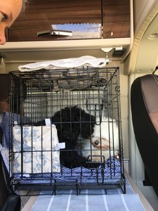 C66835EB-B6AA-474B-93C7-D57D44880295.jpeg C66835EB-B6AA-474B-93C7-D57D44880295.jpeg