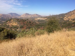 2018-09-24 10.06.48.jpg