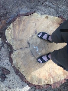 2018-09-24 11.34.54.jpg