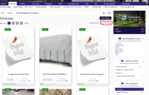 Screenshot_2018-10-20 Annonser.png