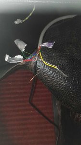 IMG_20181025_070641.jpg IMG_20181025_070641.jpg