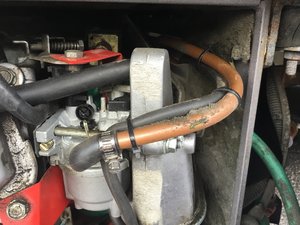 85EA42AC-AF47-431F-9F0F-F44B2C89D81F.jpeg 85EA42AC-AF47-431F-9F0F-F44B2C89D81F.jpeg