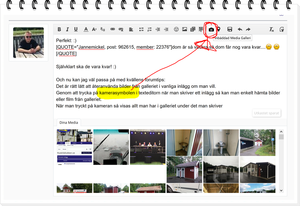 Skärmklipp.PNG Skärmklipp.PNG