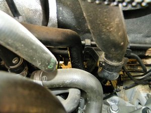 DSCN3488.JPG DSCN3488.JPG