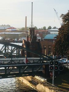 IMG_4268.jpg