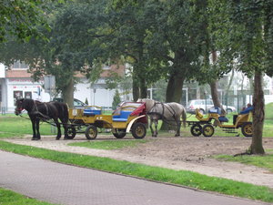 IMG_7160.JPG