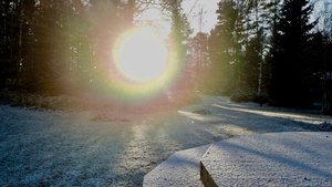 fullsizeoutput_253b.jpeg fullsizeoutput_253b.jpeg