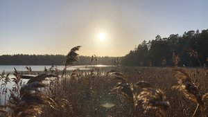 fullsizeoutput_2534.jpeg fullsizeoutput_2534.jpeg