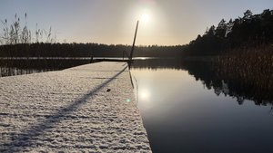 fullsizeinput_2535.jpeg fullsizeinput_2535.jpeg