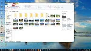 Skärmbild (85)_LI.jpg