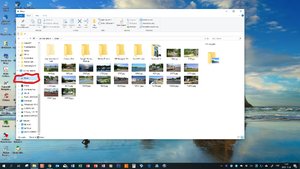 Skärmbild (82)_LI.jpg