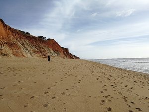 IMG_1645.JPG