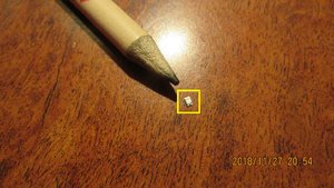 IMG_0482.JPG IMG_0482.JPG