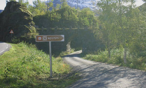 IMG_7460 copy.jpg IMG_7460 copy.jpg