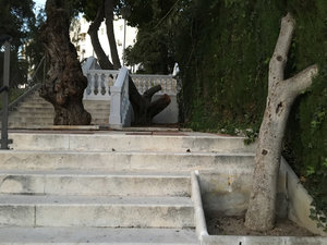 IMG_0792.jpg
