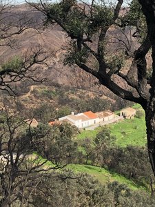 71EC0E31-E095-4948-89FB-D350202D7EF3.jpeg 71EC0E31-E095-4948-89FB-D350202D7EF3.jpeg