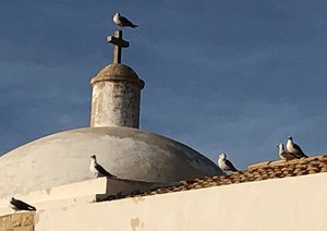 E30EBE21-9662-43A9-8D38-A9D29752960C.jpeg E30EBE21-9662-43A9-8D38-A9D29752960C.jpeg