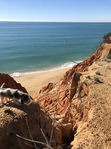 BDFAEF8D-9EFB-4062-AA91-08AA47E6C7DD.jpeg BDFAEF8D-9EFB-4062-AA91-08AA47E6C7DD.jpeg