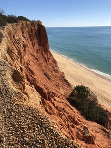 92CCE2D0-85EE-4B35-A833-05DBF52F3461.jpeg 92CCE2D0-85EE-4B35-A833-05DBF52F3461.jpeg