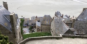 IMG_4110.jpg