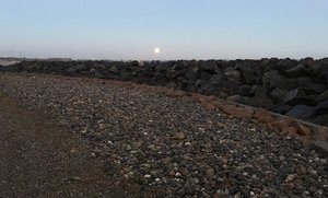 IMG_0530_edited-1.jpg IMG_0530_edited-1.jpg