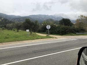 FCF2EBF9-A911-4B48-A8C6-8D3B3B054FED.jpeg FCF2EBF9-A911-4B48-A8C6-8D3B3B054FED.jpeg