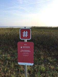 IMG_0987 copy.jpg IMG_0987 copy.jpg