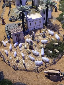 889CE319-DC33-4612-AD80-56C1F78BB323.jpeg 889CE319-DC33-4612-AD80-56C1F78BB323.jpeg