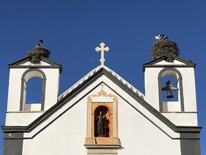 20BA19B7-FB80-43D1-B4FE-149D9A9E6E6C.jpeg 20BA19B7-FB80-43D1-B4FE-149D9A9E6E6C.jpeg