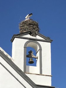 D274523D-78C3-45F7-830C-7EB074E926E9.jpeg D274523D-78C3-45F7-830C-7EB074E926E9.jpeg