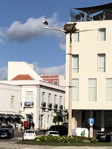 892D5AF7-E574-4F9B-ADFB-E5FB84ADA112.jpeg 892D5AF7-E574-4F9B-ADFB-E5FB84ADA112.jpeg