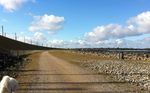 IMG_0398_edited-1.jpg IMG_0398_edited-1.jpg