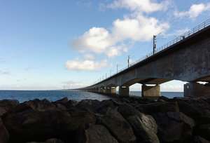 IMG_0396.jpg IMG_0396.jpg