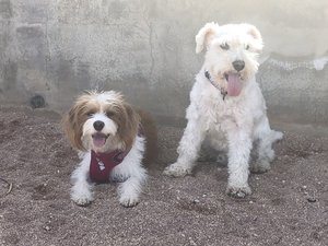 0A66FA2C-2B88-4D97-85AE-65AF28FF1053.jpeg 0A66FA2C-2B88-4D97-85AE-65AF28FF1053.jpeg