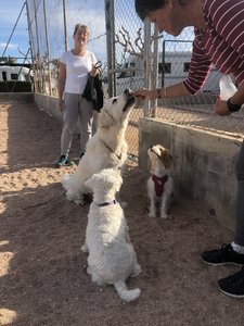 A4116789-26E2-4473-939E-6B8AA12B9729.jpeg A4116789-26E2-4473-939E-6B8AA12B9729.jpeg