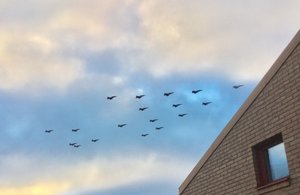 82B0DFF7-6537-48E9-BB10-5F3B4149C776.jpeg 82B0DFF7-6537-48E9-BB10-5F3B4149C776.jpeg