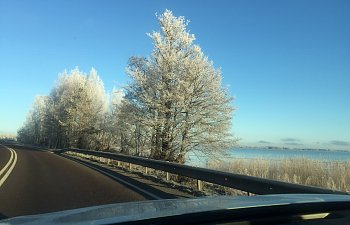 God jul och gott nytt år