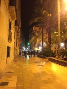 IMG_4246.jpeg