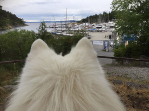 IMG_2818.JPG IMG_2818.JPG