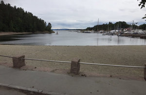 IMG_2819.JPG IMG_2819.JPG