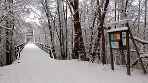 ny062wxumfcjlezt9tbf.jpg ny062wxumfcjlezt9tbf.jpg