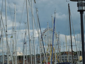 DSCN0533.JPG
