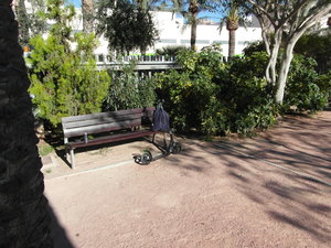 SAM_0678.JPG