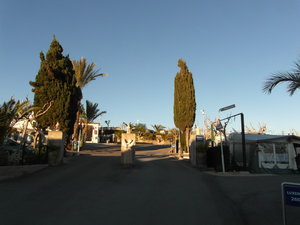 SAM_0681.JPG