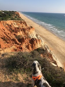 D71CCD0C-0BCE-4F9A-96A7-11F765C80195.jpeg D71CCD0C-0BCE-4F9A-96A7-11F765C80195.jpeg