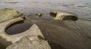 20070408-003.jpg 20070408-003.jpg