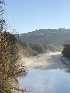 495457BF-8A9A-4CE6-BFDB-E789B47CF5AD.jpeg 495457BF-8A9A-4CE6-BFDB-E789B47CF5AD.jpeg