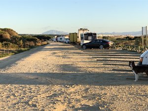 3110FE0D-9954-42D8-85DF-49CC09E81B43.jpeg 3110FE0D-9954-42D8-85DF-49CC09E81B43.jpeg