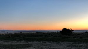 BA10C29C-E493-450E-AA61-8881C9697085.jpeg BA10C29C-E493-450E-AA61-8881C9697085.jpeg